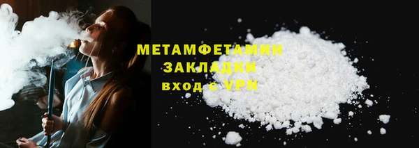 прущие грибы Абдулино