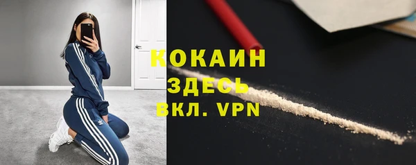дживик Абинск