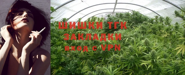 прущие грибы Абдулино