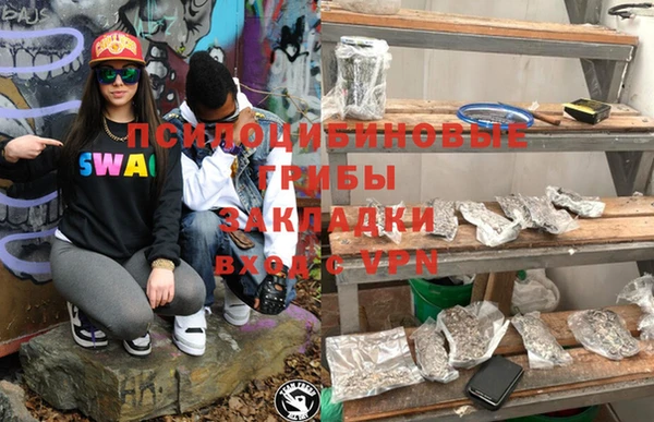прущие грибы Абдулино