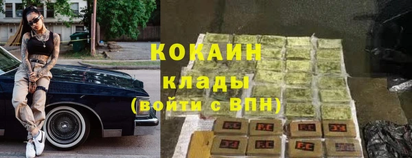 дживик Абинск