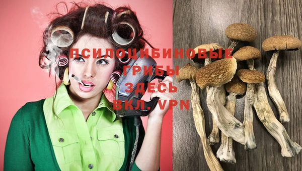прущие грибы Абдулино