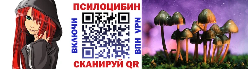 Псилоцибиновые грибы Psilocybe  купить наркотики сайты  omg зеркало  Новопавловск 